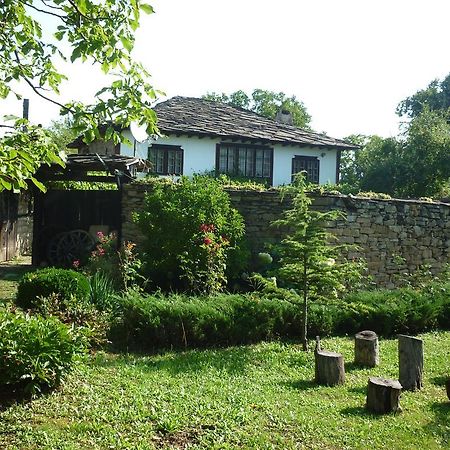 Guesthouse Peyna Екстериор снимка