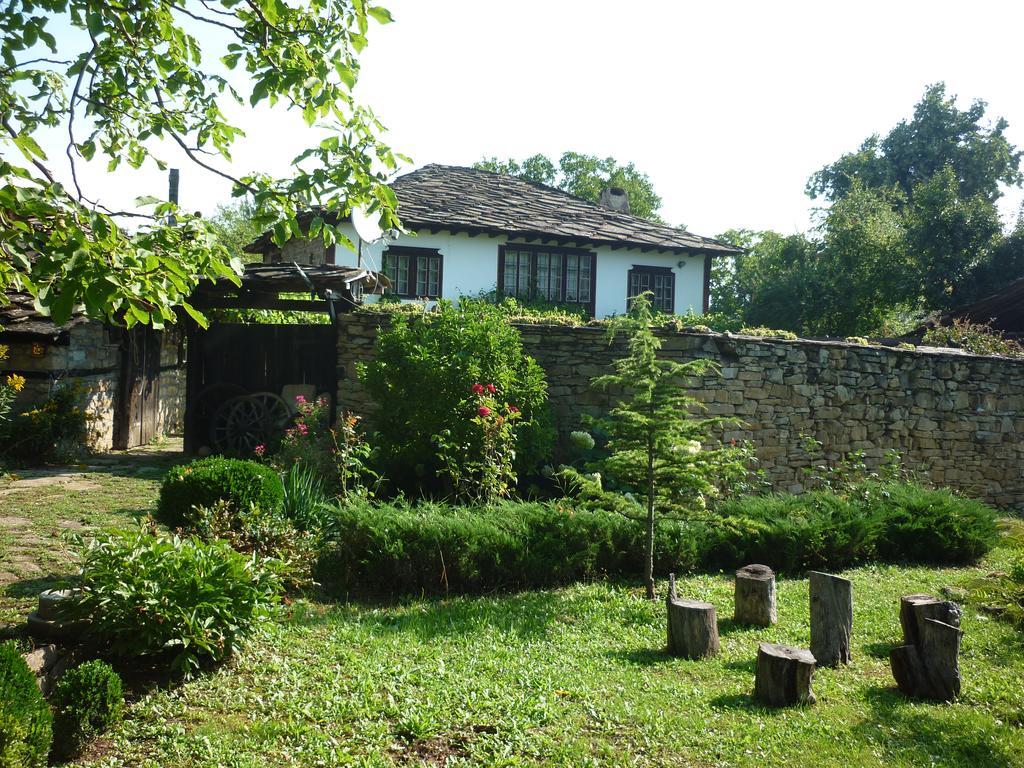 Guesthouse Peyna Екстериор снимка